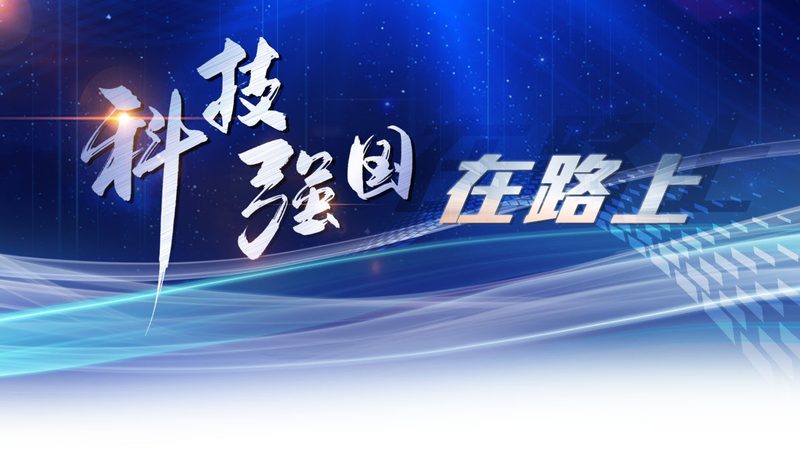 人工智能应用趋势：批发价格背后的价值考量